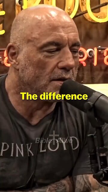 Jesus makes more sense!