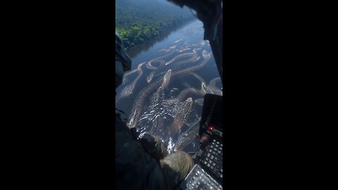 Snakes found in Amazon jungle 🙀🐍
