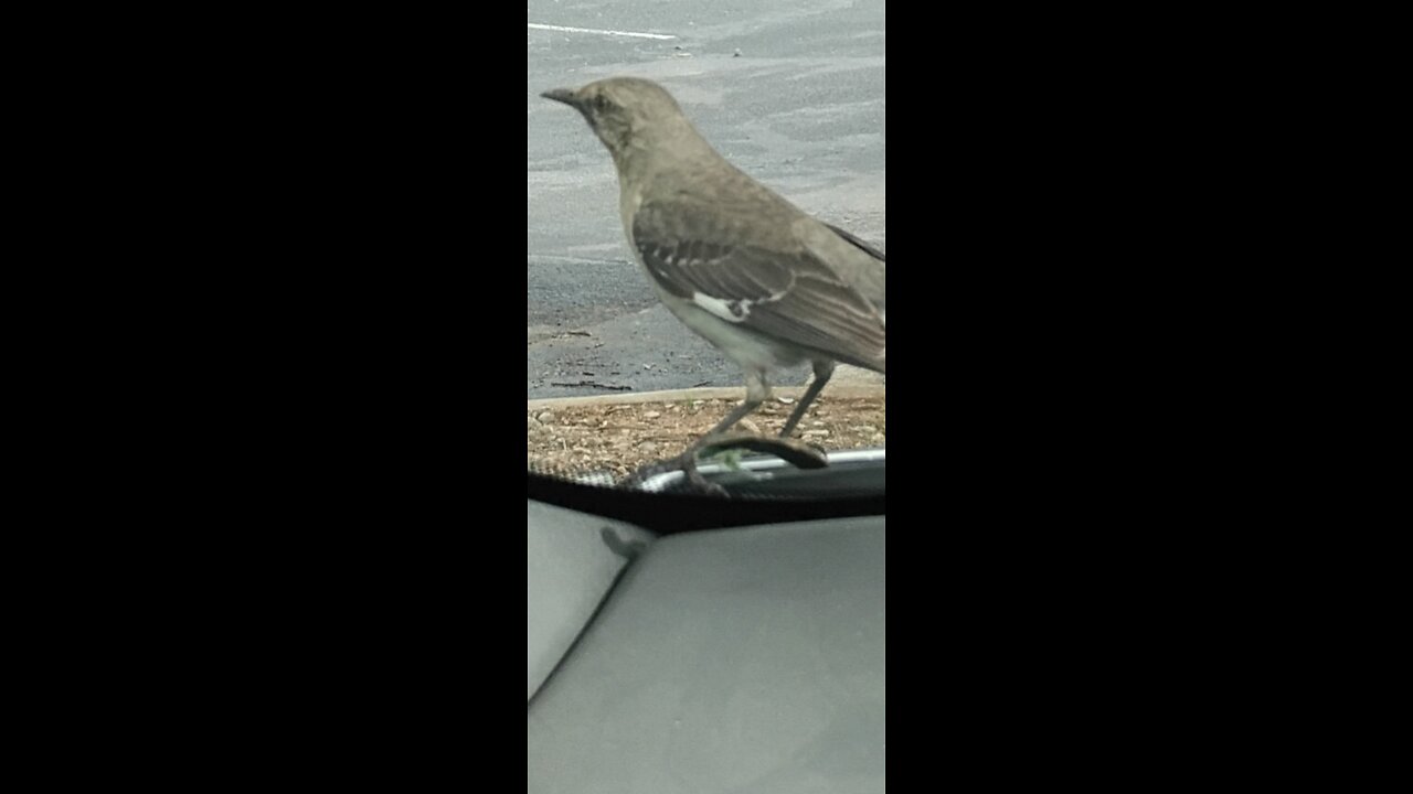 Owen Shroyer live with Bart Fine in The War Room