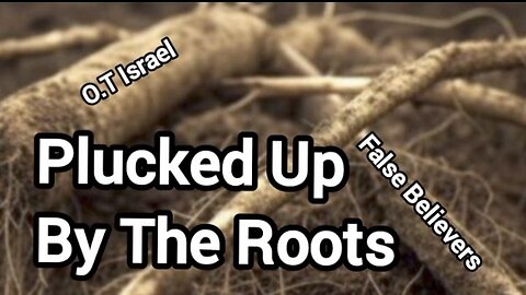 Plucked Up By The Roots