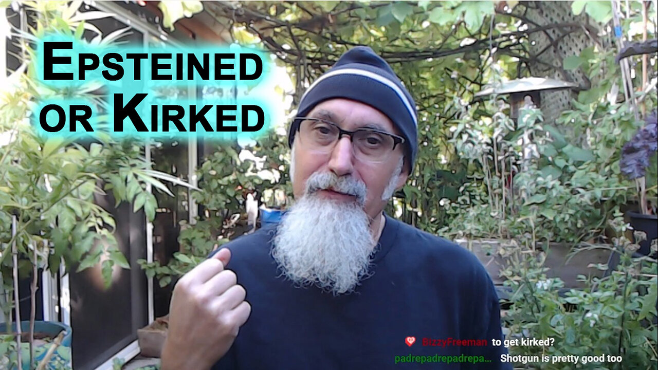 People That Fear Zionist Israel Are Those Working for Them or Indebted to Them: Epsteined or Kirked