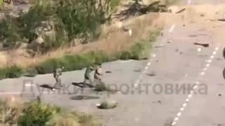 😎👊 Repelling of Russian mechanized assaults near Mala Tokmachka, Zaporizhzia region by AFU.
