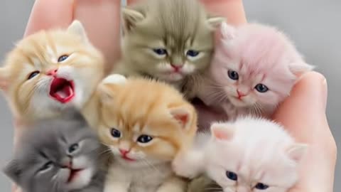 They melted my heart