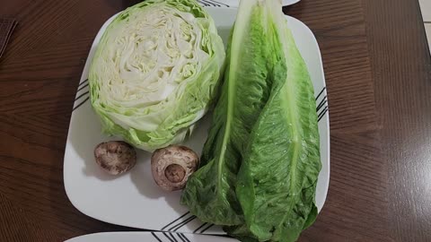 MEAL OF THE DAY