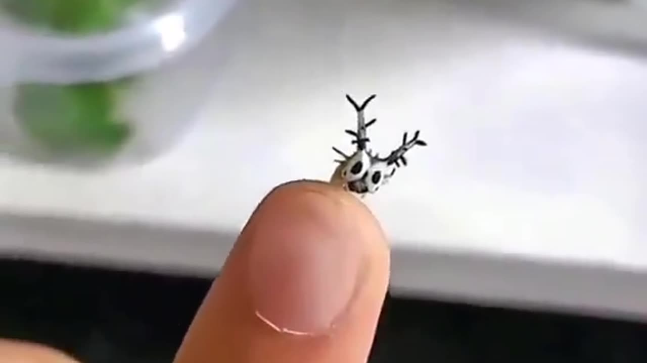 What creature is this?