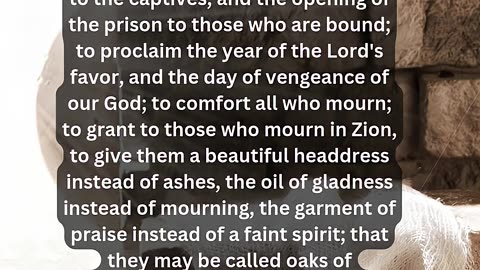 Journey of faith and spiritual growth Isaiah 61:1-3 Daily Bible Verse