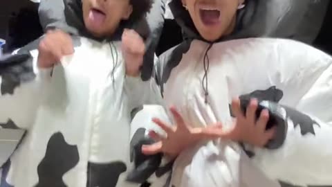bailo