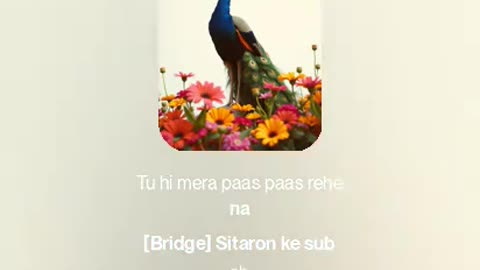 Pokharia song Chandan Majhi and sasmita Majhi
