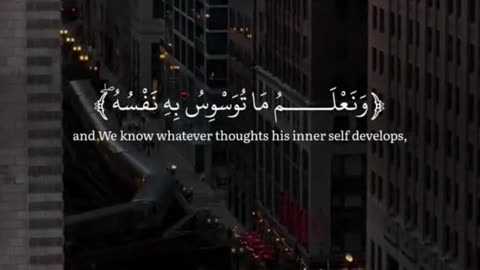 self developer