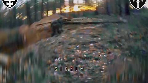 Shredding Russian Infantry Inside Forested Area Near Lyman