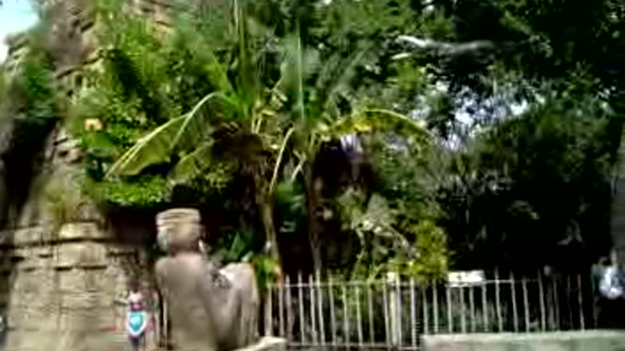 Deep in the Myan Jungle - Jonathan at the Zoo #42