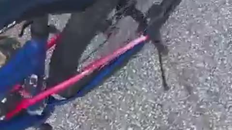 😂💡 No Way! The Funniest Fail Ever! | FunFM