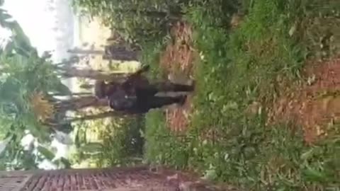 💥🛡️ Myanmar War | Oak Awe Column Engages Junta Forces in Dawei | RCF