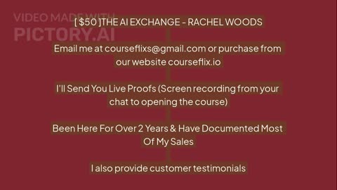 Download THE AI EXCHANGE - RACHEL WOODS