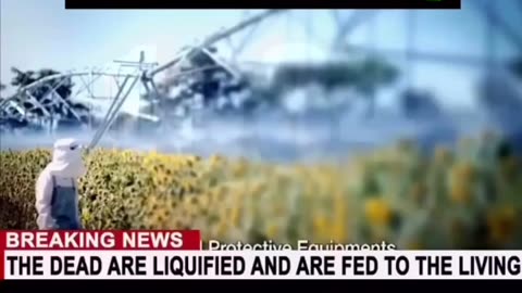 I keep warning you about Big Food.