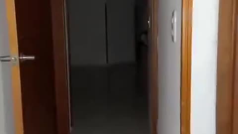 Is That a Ghost or a Jinn? What Is That?! 👀👻