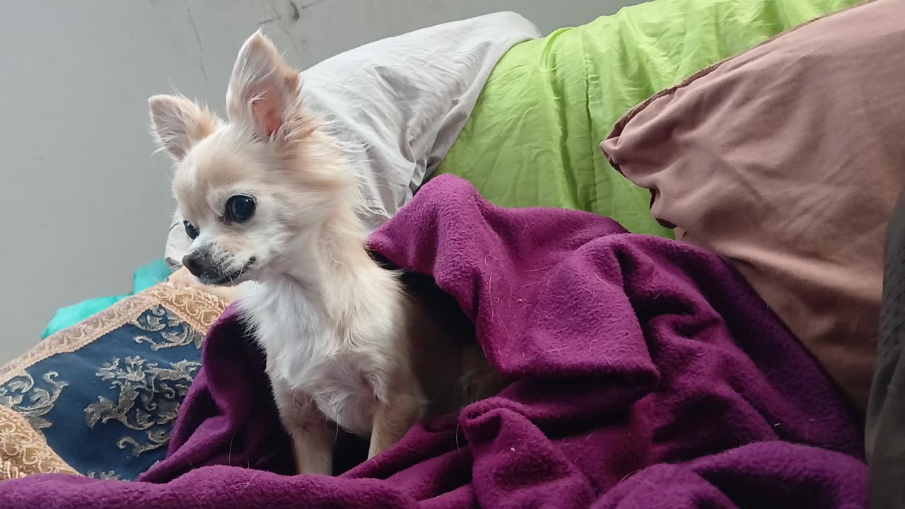 Church Choir Members