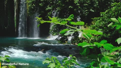 Wonderful Nature