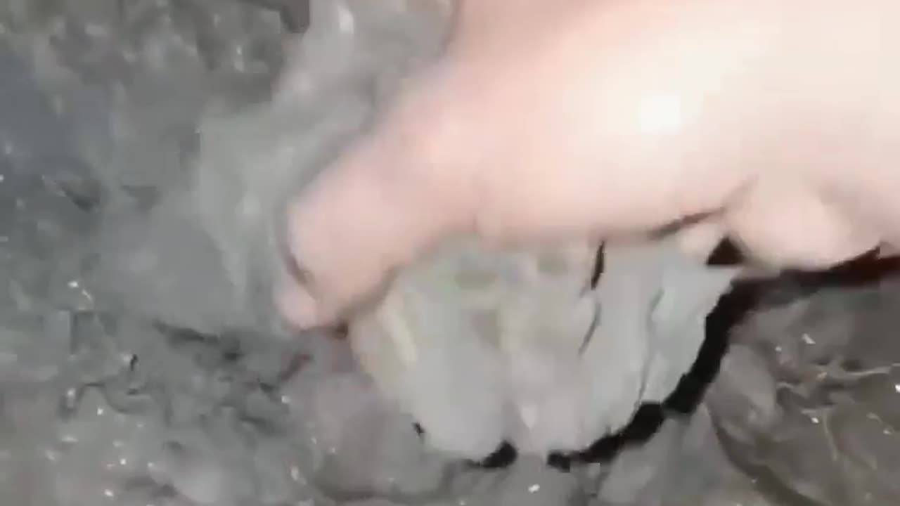 🤯🐝 Wait For The Ending... Wasp Nest Removal Fail! | FunFM