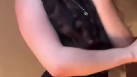 tiktok dance challenge