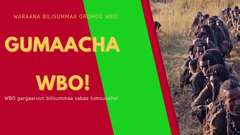 Gabaasa Gumaacha ONM-ABO Waxaabajjii 3-2025 itti dhiyaadhaa!