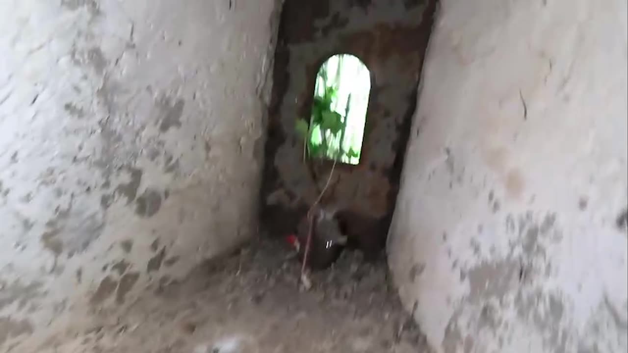 Капониры. Горажда.