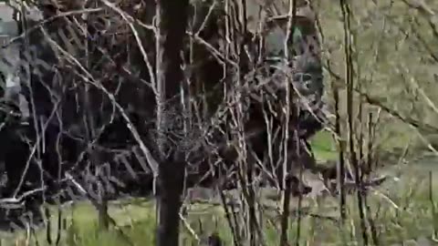 🇺🇸💀 Ukraine Russia War | Wrecked Western Vehicles Litter Kursk Battlefield | RCF