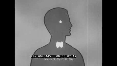 Endocrine Glands: How They Affect You 1956