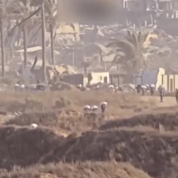 "Cohen, you can’t miss him.”