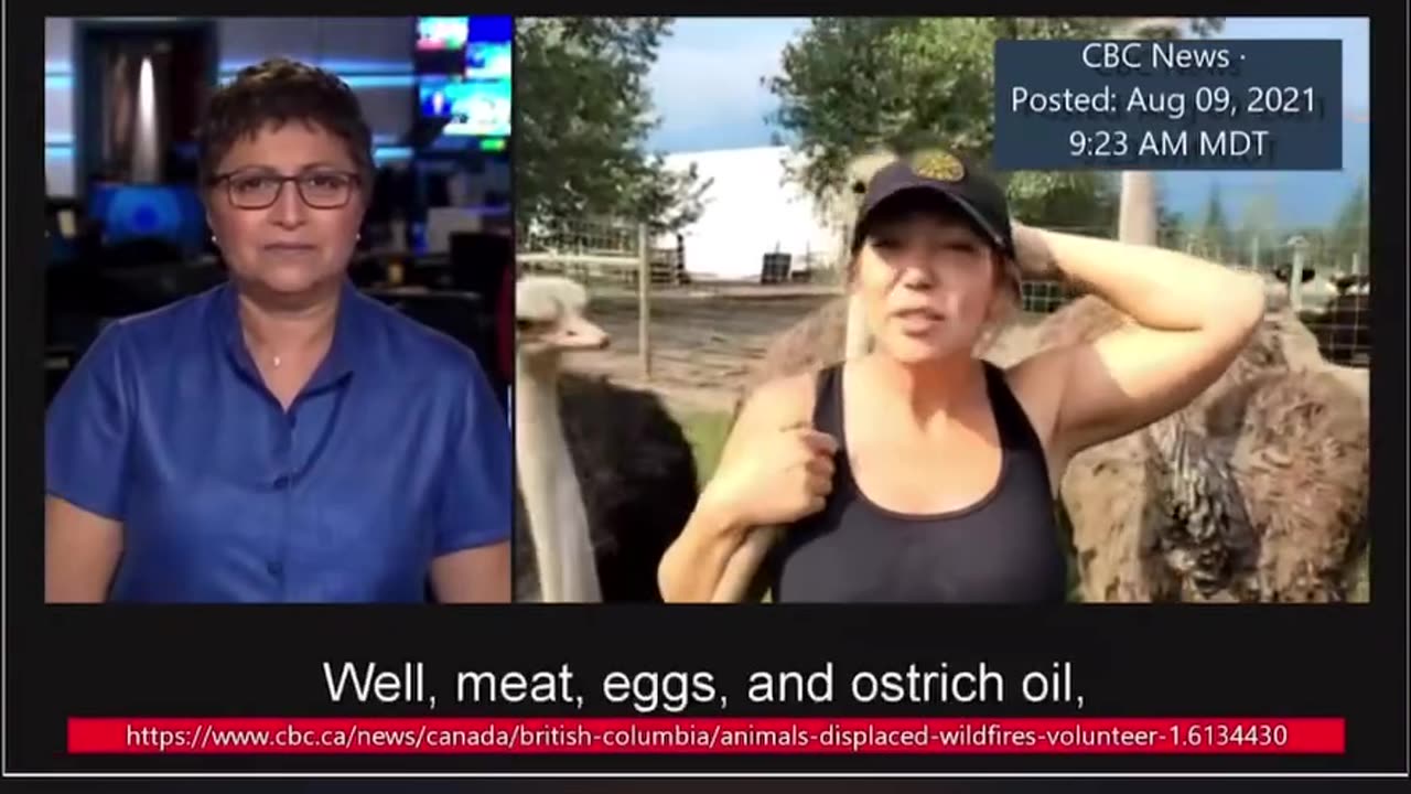 She..Lied..to..Us...ALL/Phil Primeau