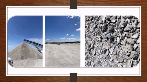 coquina shells in chapin,