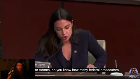 AOC goes after her own political KIN | CommonSensePRose&Cons