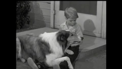 Lassie - Episode 170 - 'The Puppy Story'