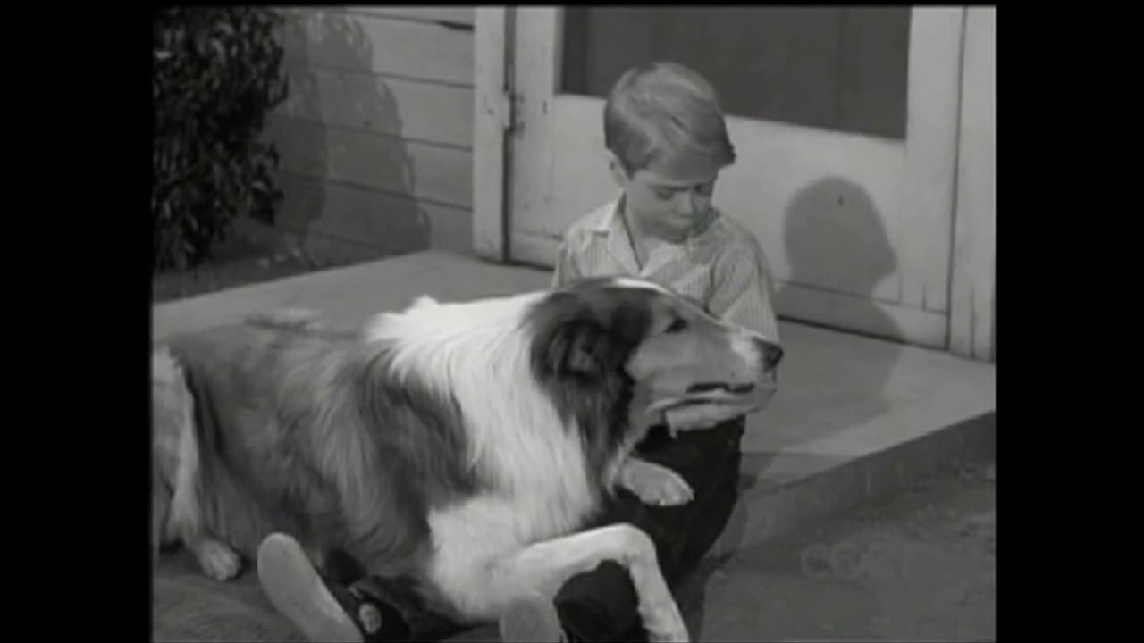 Lassie - Episode 170 - 'The Puppy Story'