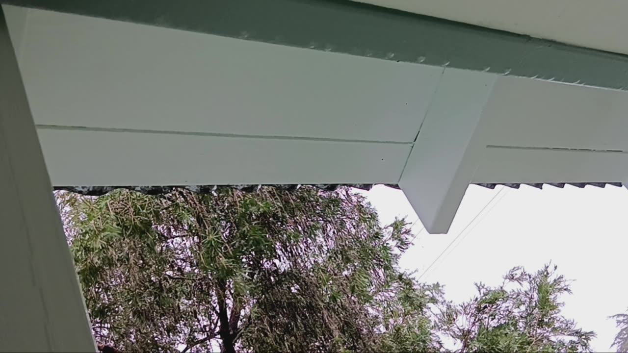Day Time Rain relax sleep Asmr