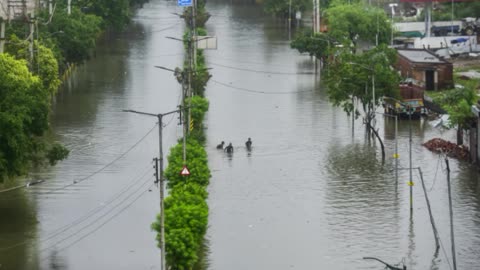 37 Killed, All 23 Districts Hit As Punjab Sees Worst Floods Since 1988