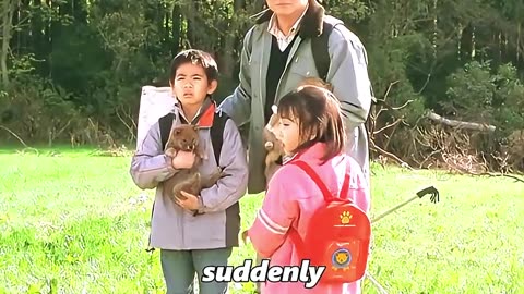 Abandoned Dog’s Heartbreaking Waiting Story