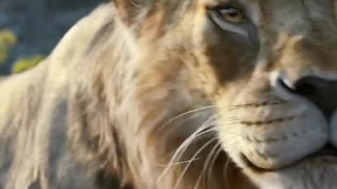 Mufasa 😍❤️ (Part - 47)....#reels #viralreels #reel #mufasa #animation #lastest #romantic #viralreel