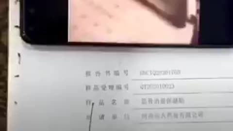 中国で流通する髪の毛サイズの小型カメラ。