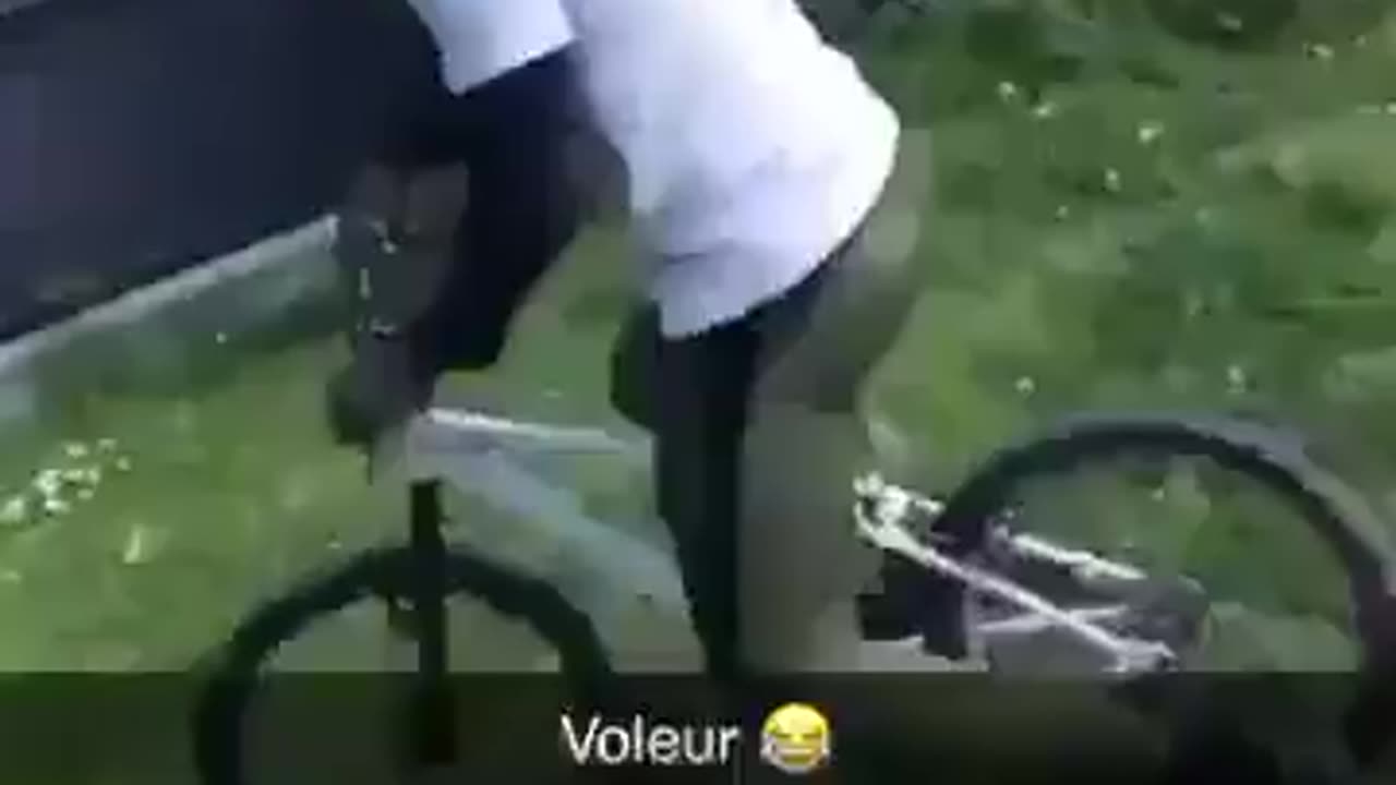 Diversity steals bike