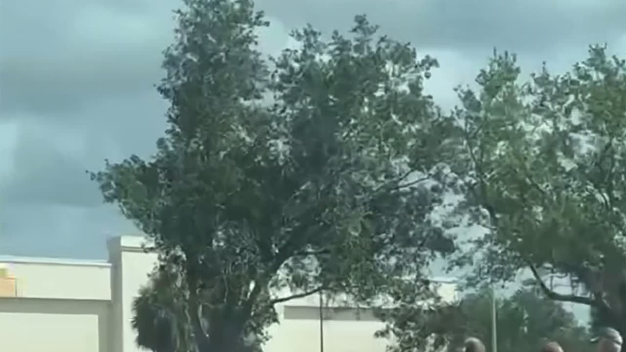 Democrats “ protest” in SW FL. This is what happens when you close state mental hospitals