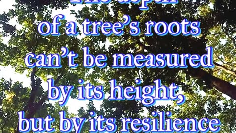 30 May 2025 Fearless Friday / Original Motivational Quote