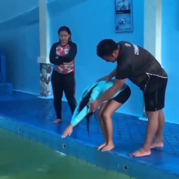 First Diving Lesson?