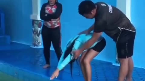 First Diving Lesson?