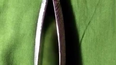 Extracting Forceps , Beauty