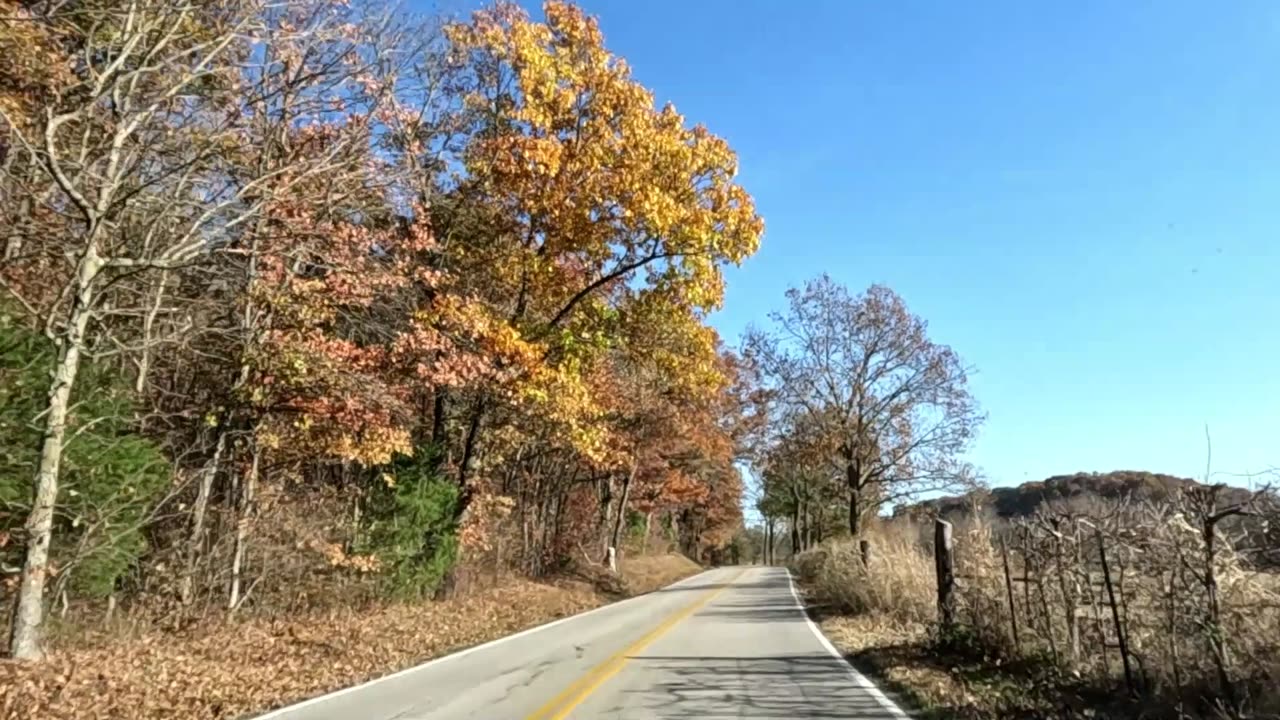 Warren Zevon ROCK BLOCK!