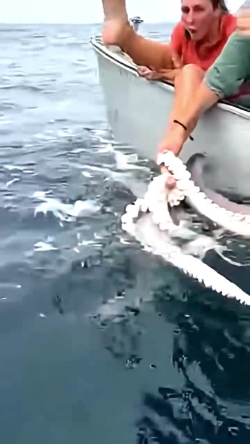 A man successfully defended a woman from a squid