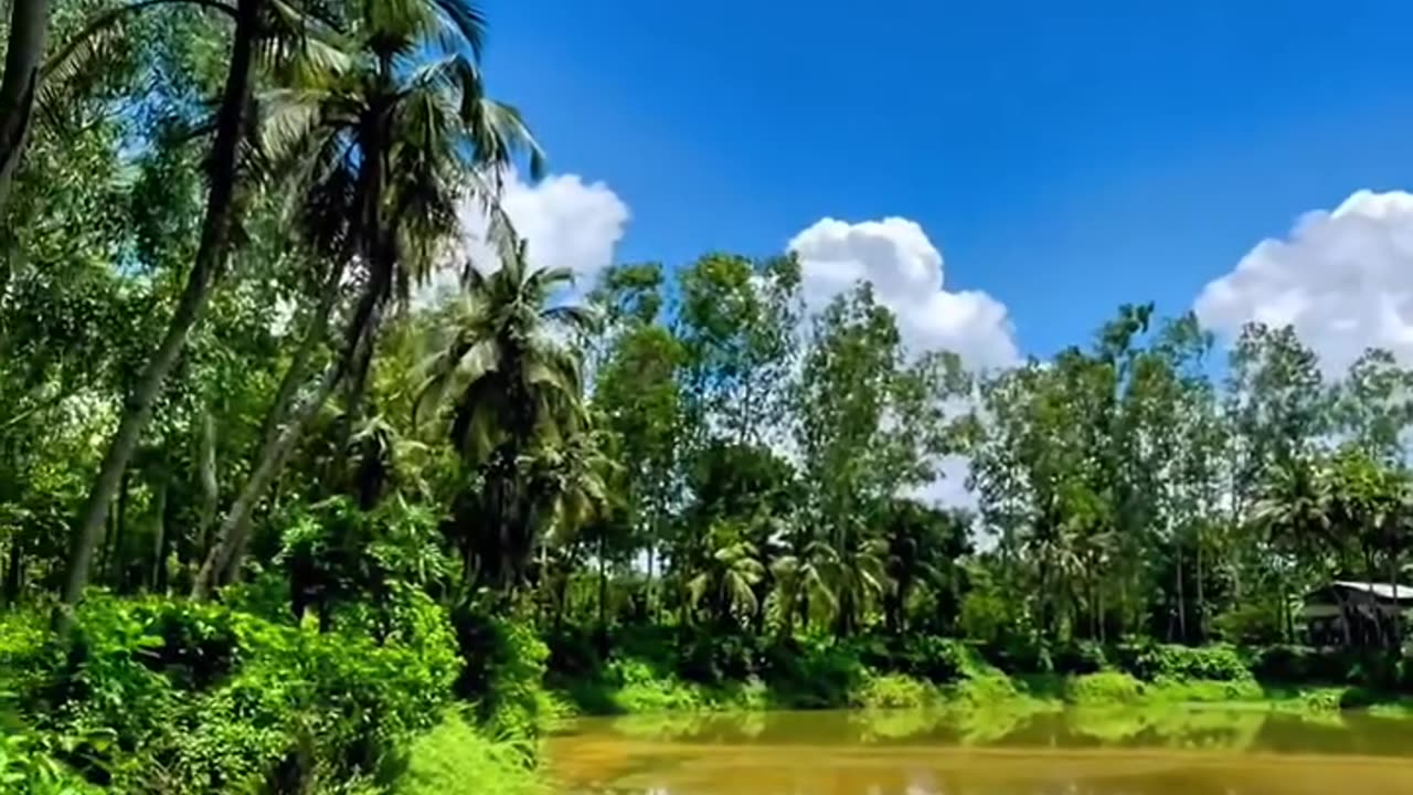 hi