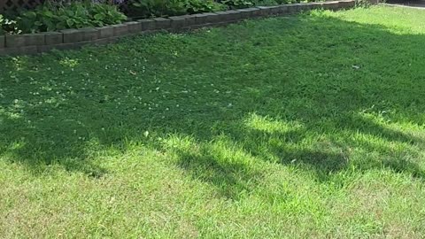 update of an dementia old man landlord with a warning about not to do business with family