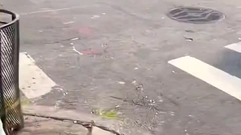 The NYPD REFUSES to help a man that was assauIted, because it’s “not their area”..